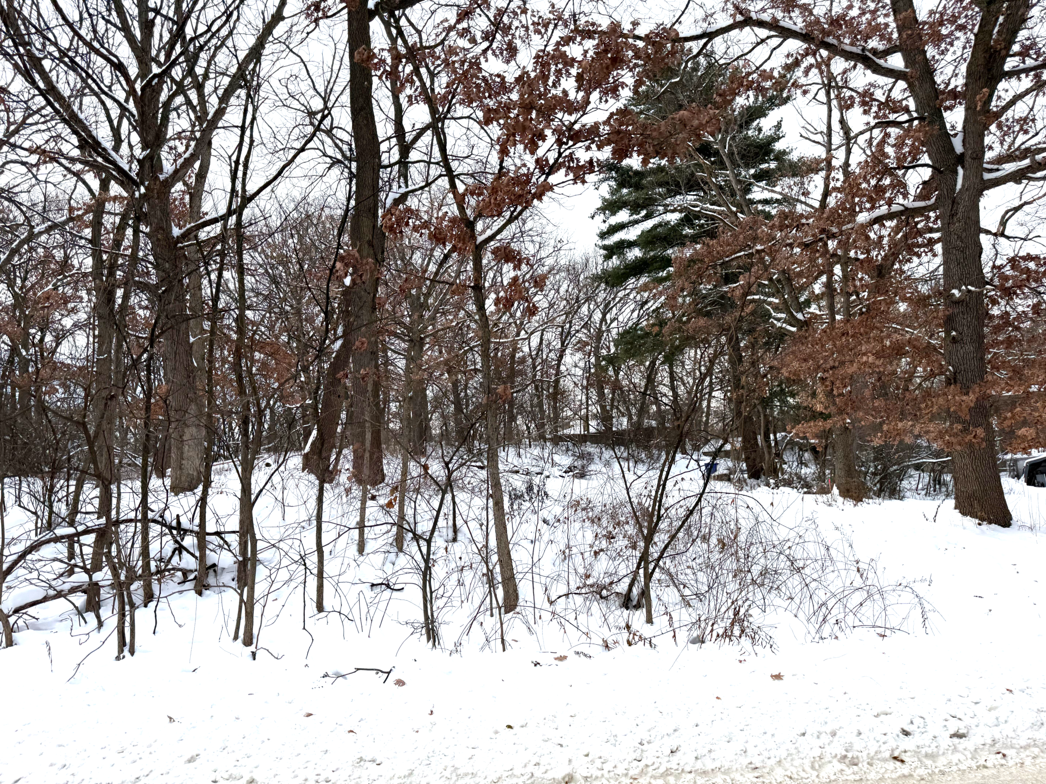 371 Totem Road St. Paul, MN 55119 - Photo 6 of 13