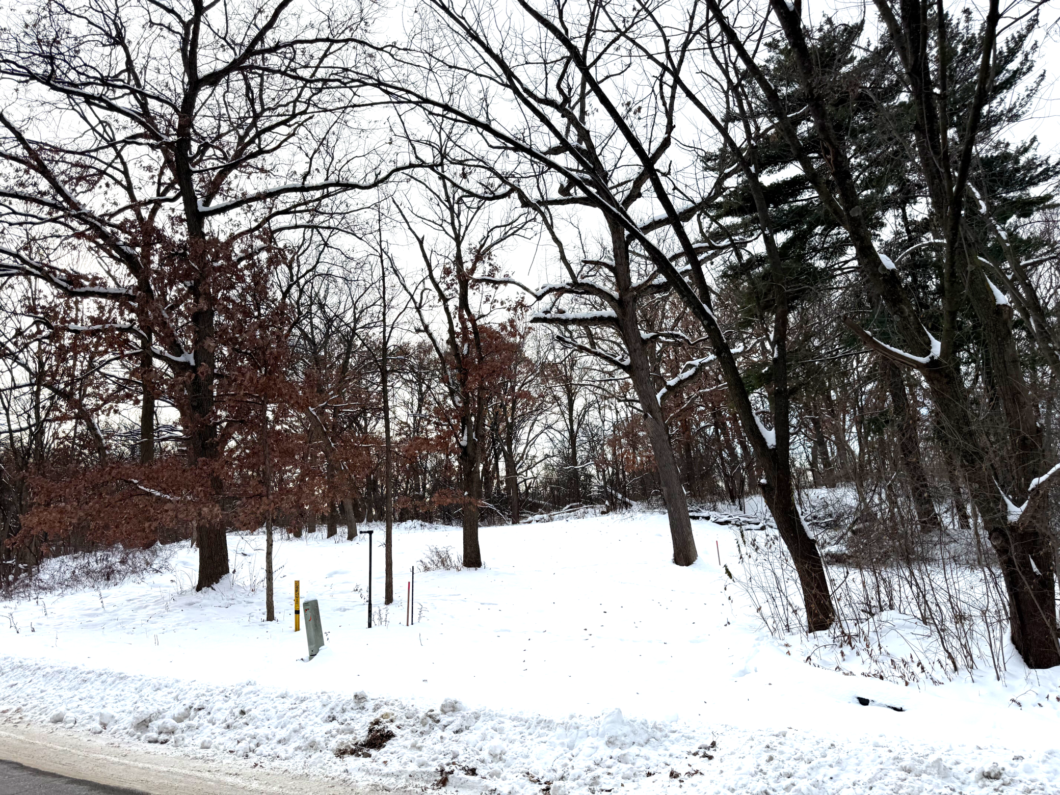 371 Totem Road St. Paul, MN 55119 - Photo 8 of 13