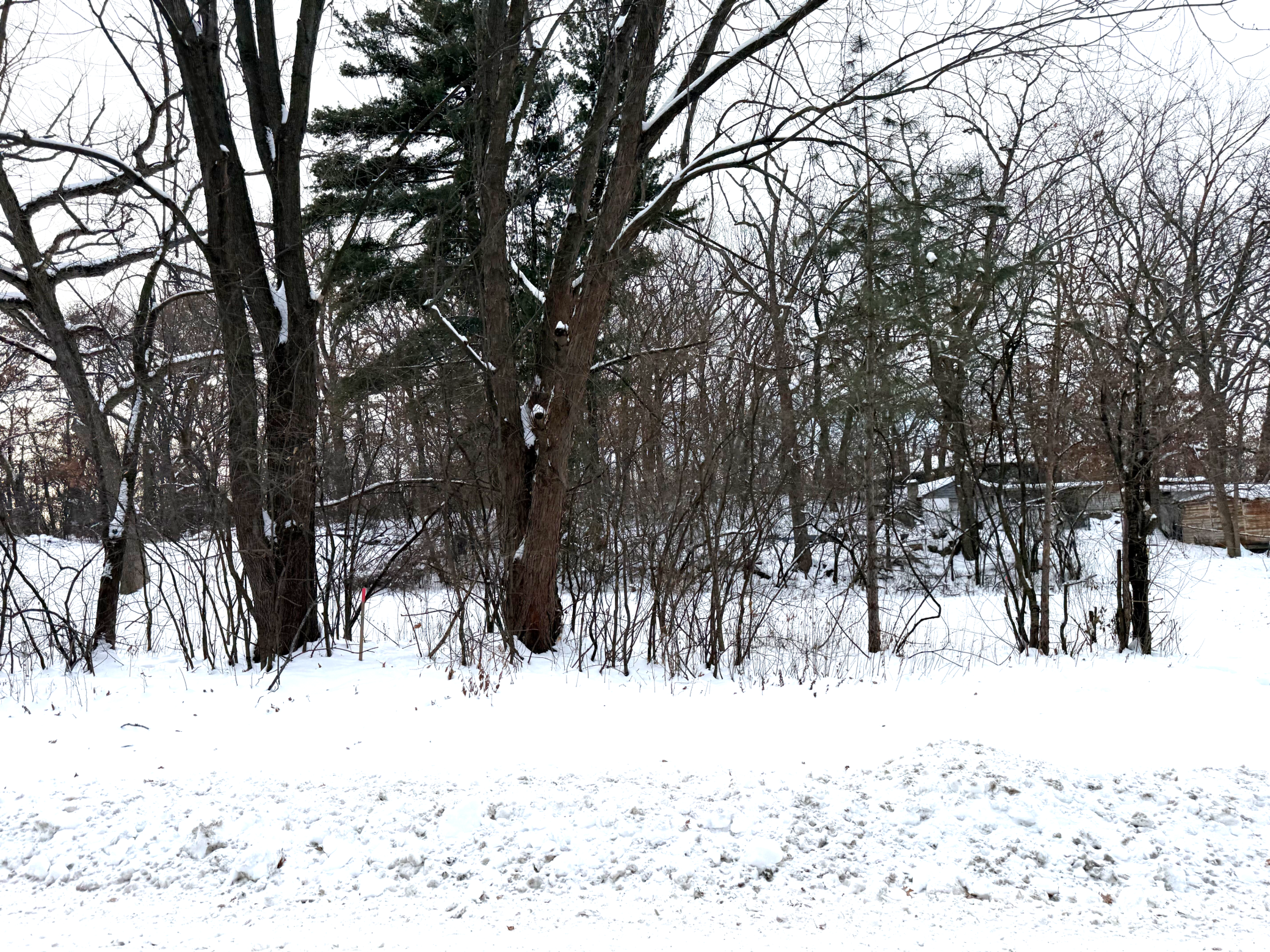 371 Totem Road St. Paul, MN 55119 - Photo 9 of 13