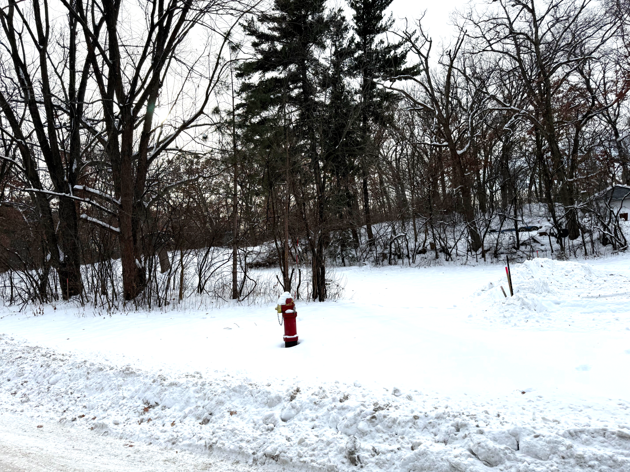 371 Totem Road St. Paul, MN 55119 - Photo 10 of 13