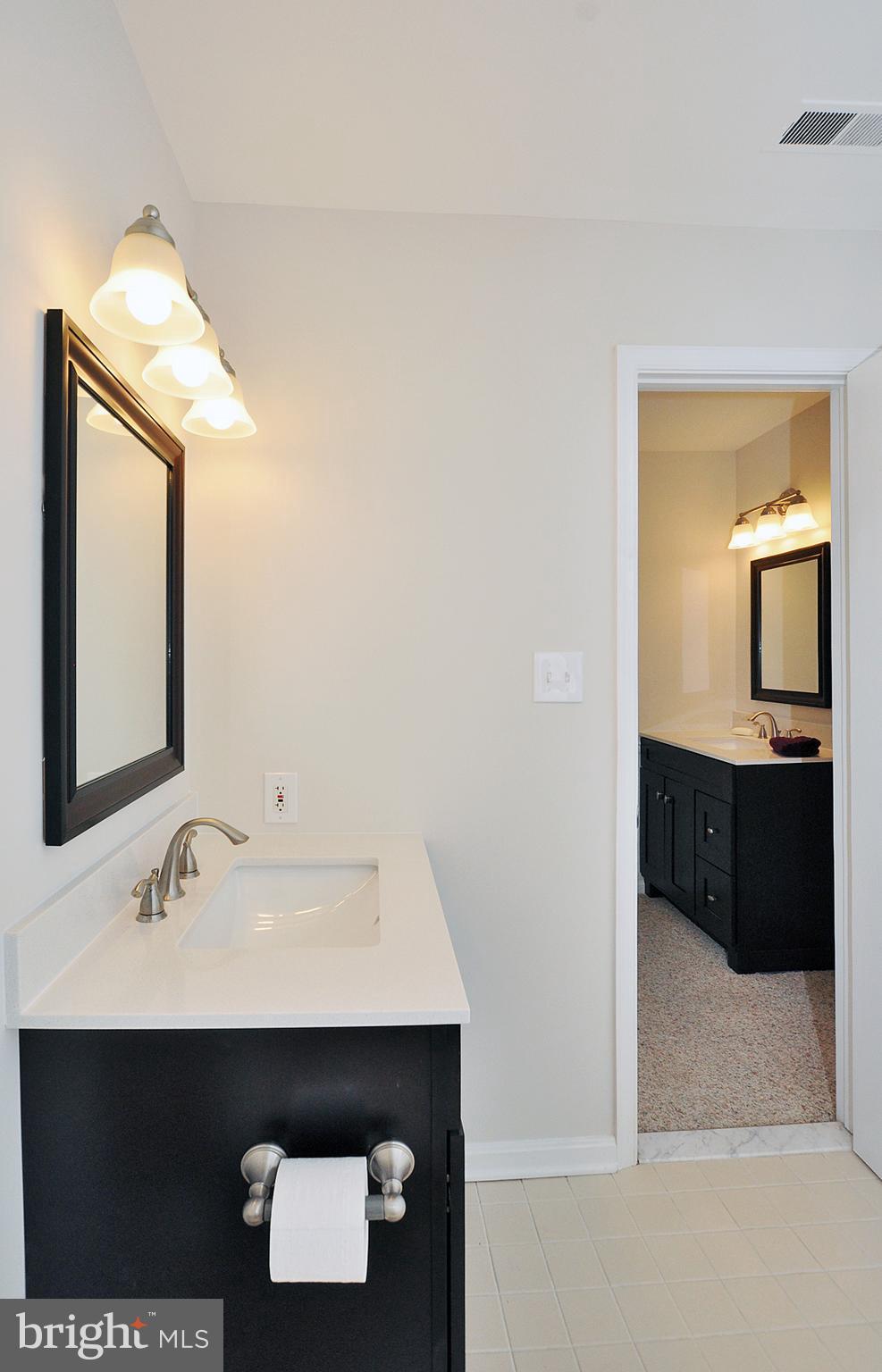 10413 Mountain Quail Road Silver Spring, MD 20901 - Photo 13 of 17 Large master bath with double sink vanities.