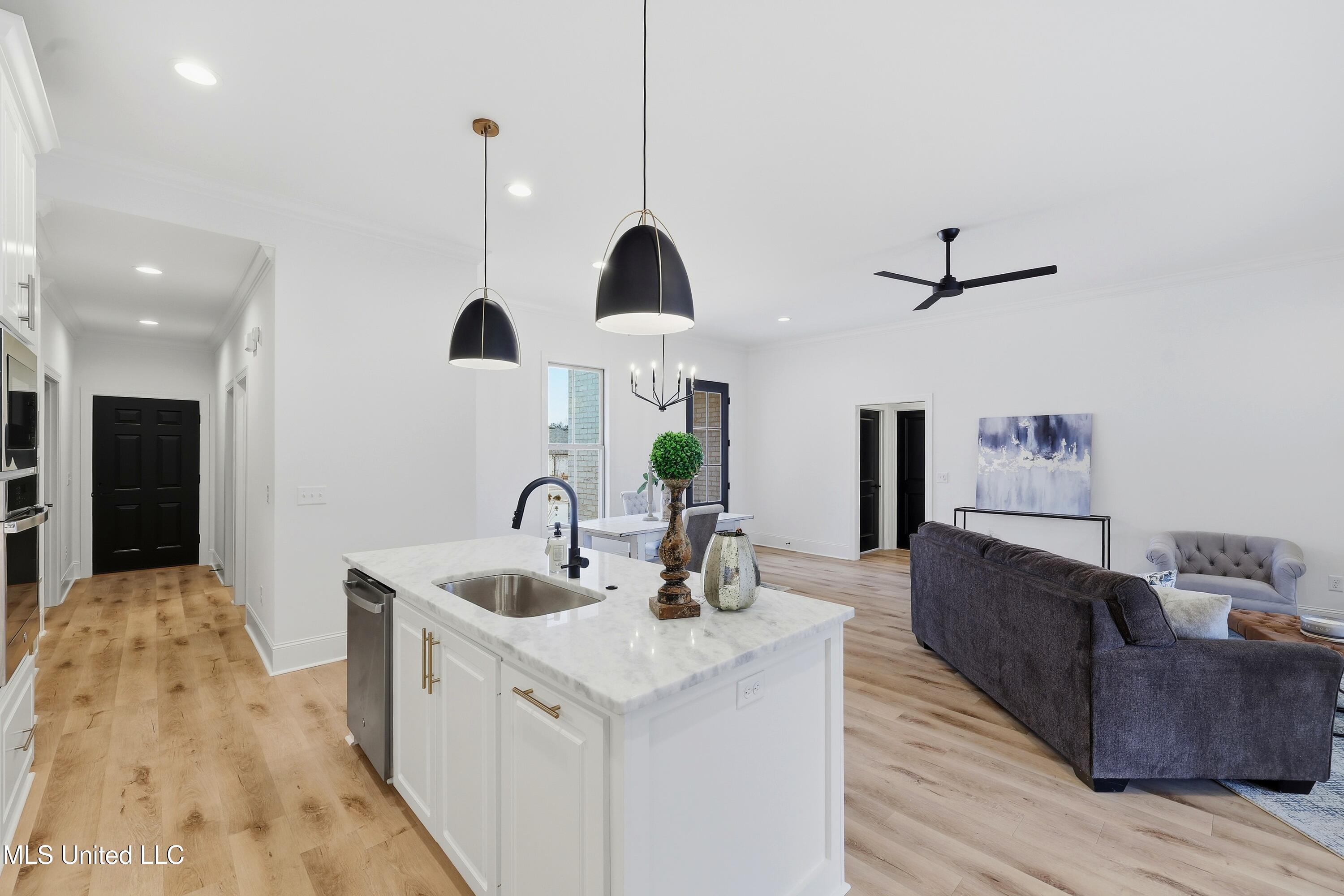 230 Bronson Bend Flowood, MS 39232 - Photo 12 of 36 230 Bronson Bend \ Home Tours MS (11)[12