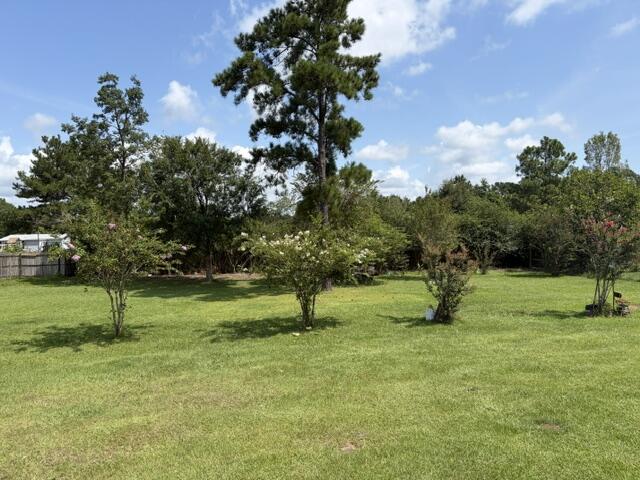 155 Temple Terrace Circle Cairo, GA 39828 - Photo 11 of 13 Gallery Image 11
