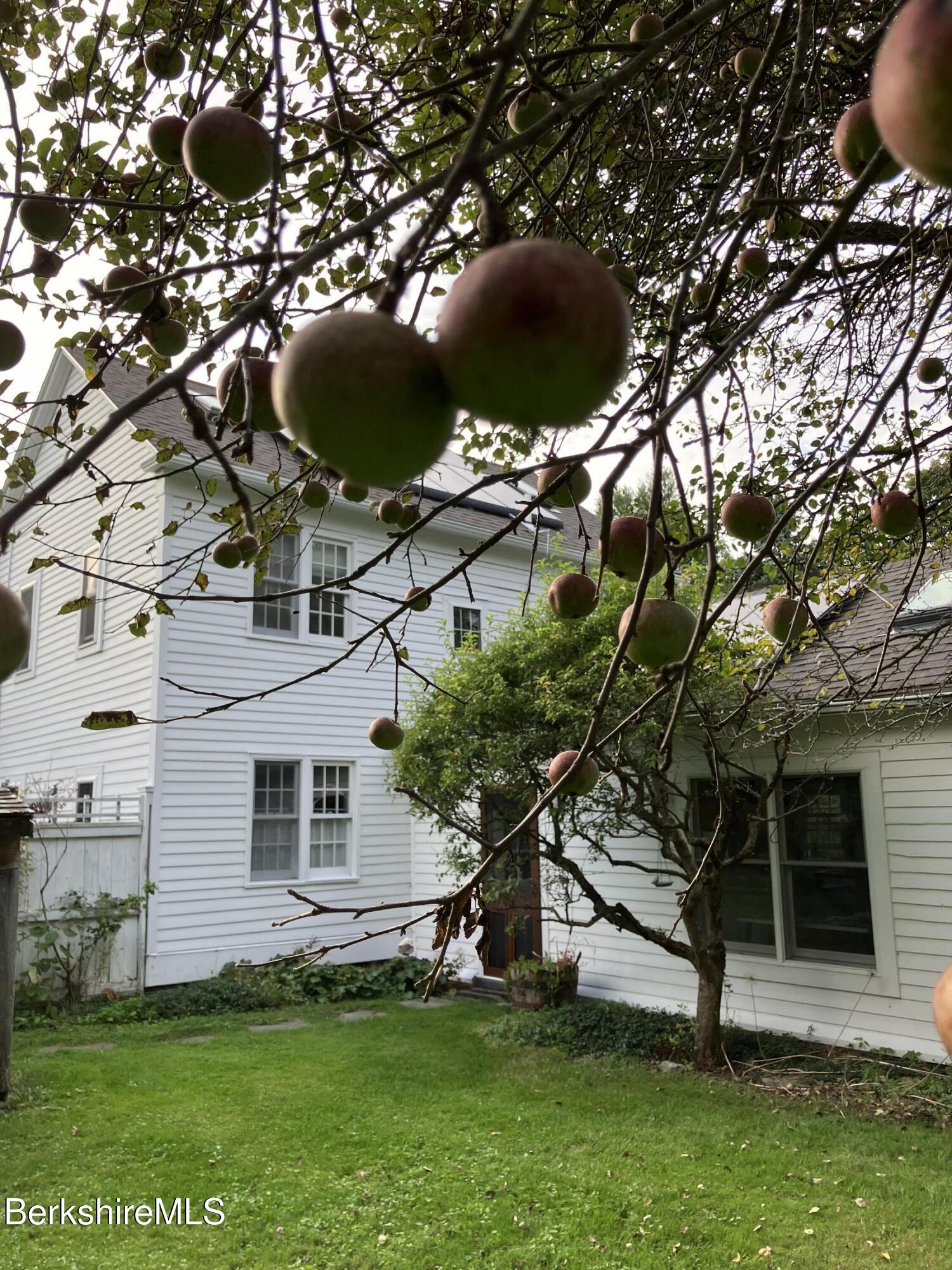 139 West Center Road West Stockbridge, MA 01266 - Photo 35 of 35 Side Yard