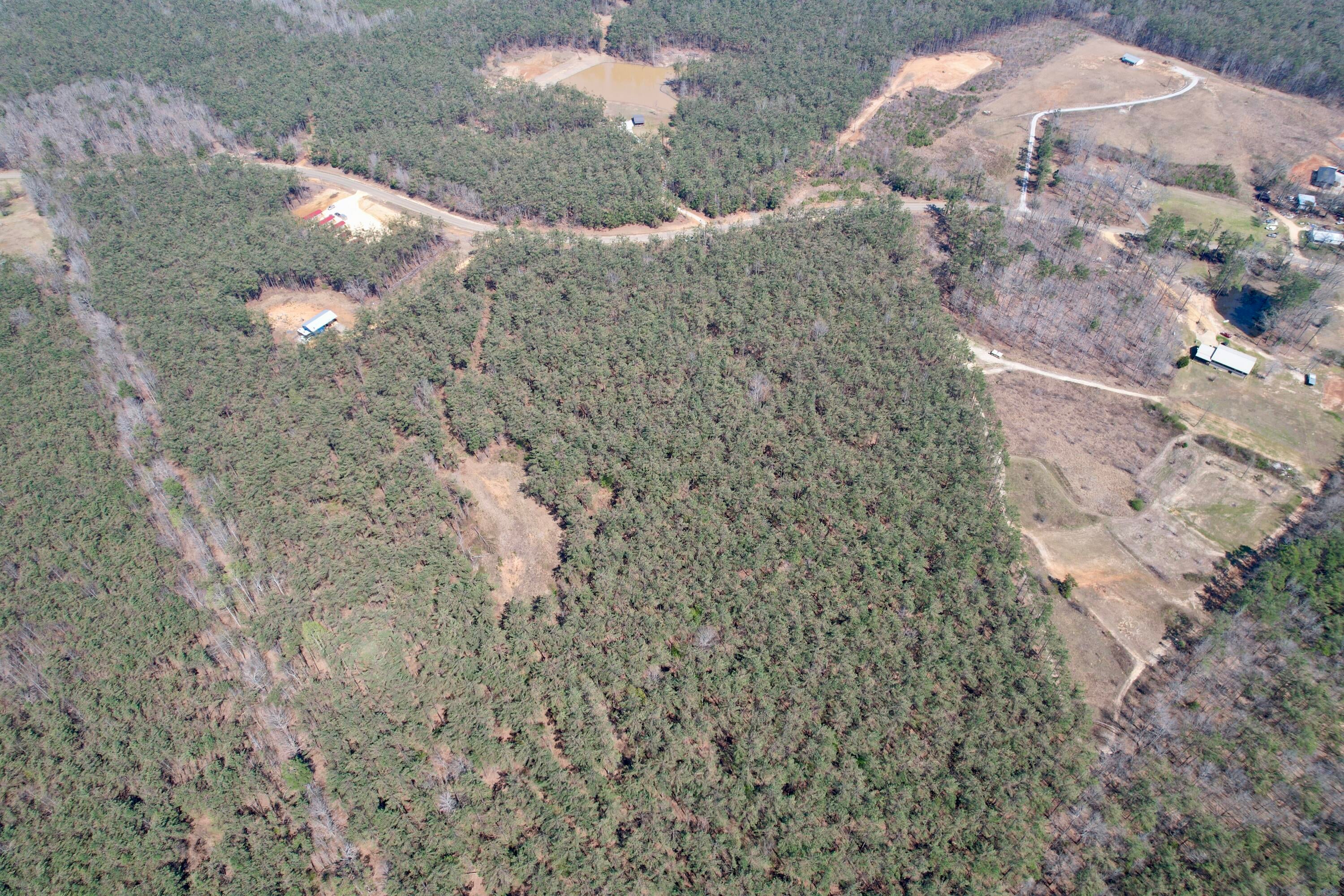 231 Rd Iuka Ms 38852 Cherokee, AL 35616 - Photo 14 of 20 Gallery Image 14