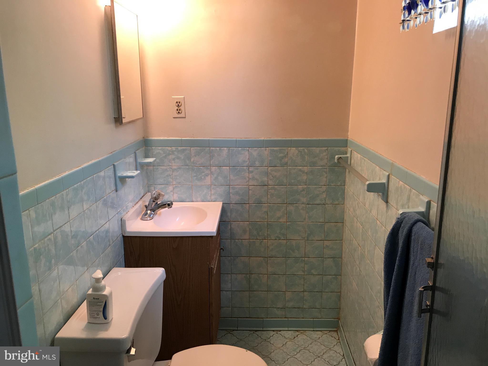 928 Ray Road Hyattsville, MD 20783 - Photo 23 of 27 Basement Full Bath