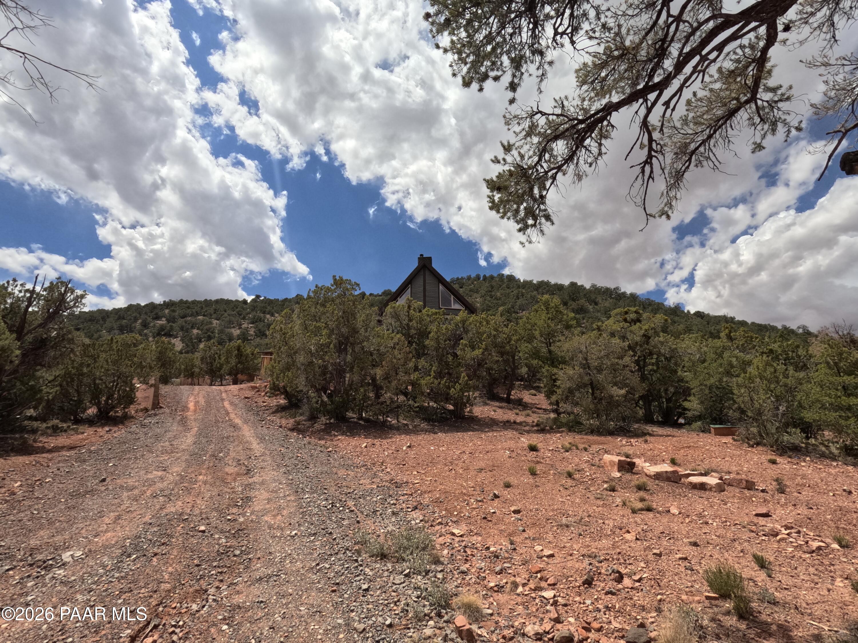 33867 West Whiskey River Road Seligman, AZ 86337 - Photo 47 of 50 Driveway to house
