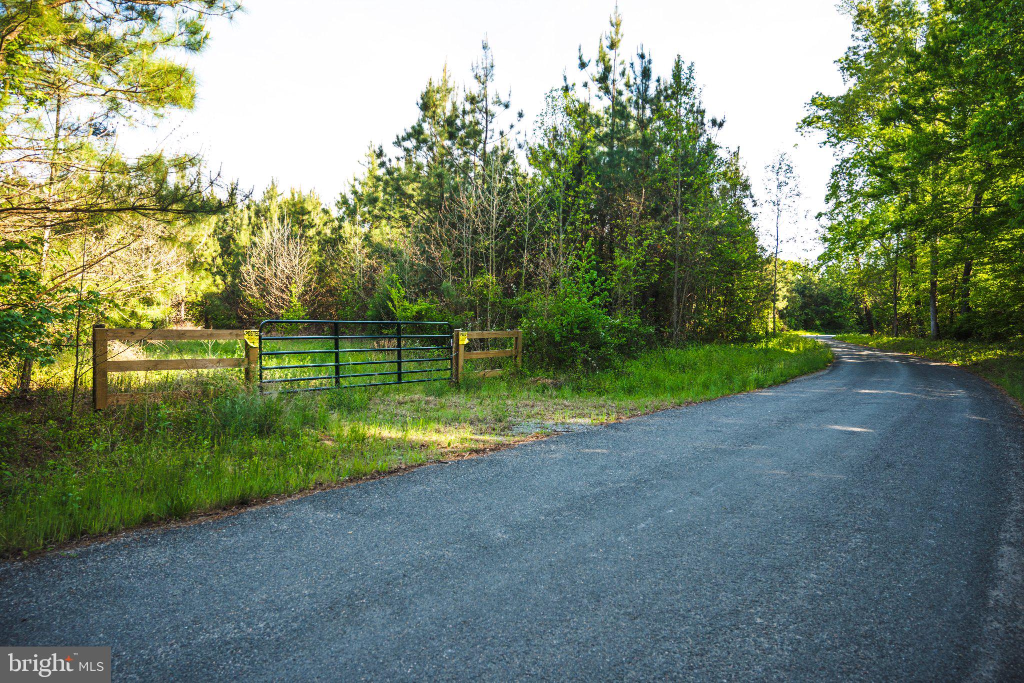 0 Harts Mill Road Mineral, VA 23117 - Photo 17 of 69 Serene country road beckons adventure.