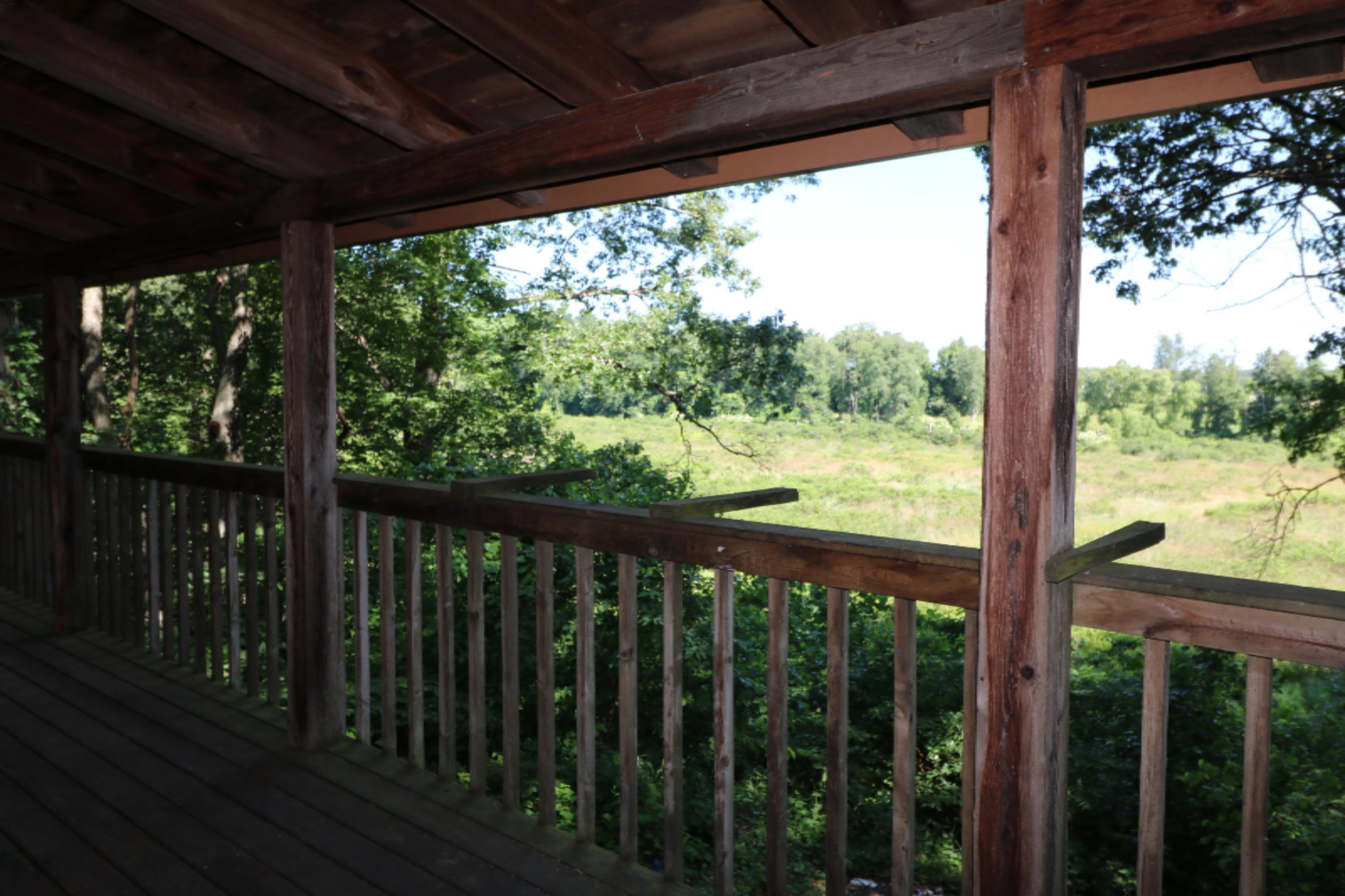 52122 Garret Road Dowagiac, MI 49047 - Photo 13 of 15 Deck view