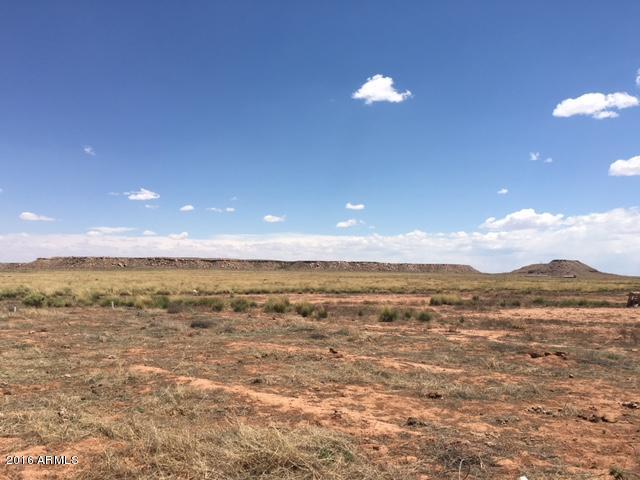 0 Turquoise Ranch Road, Unit 26B Winslow, AZ 86047 - Photo 33 of 36 View SE