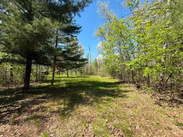 $114,900 | 1310 South Cree Drive, Friendship, WI 53934