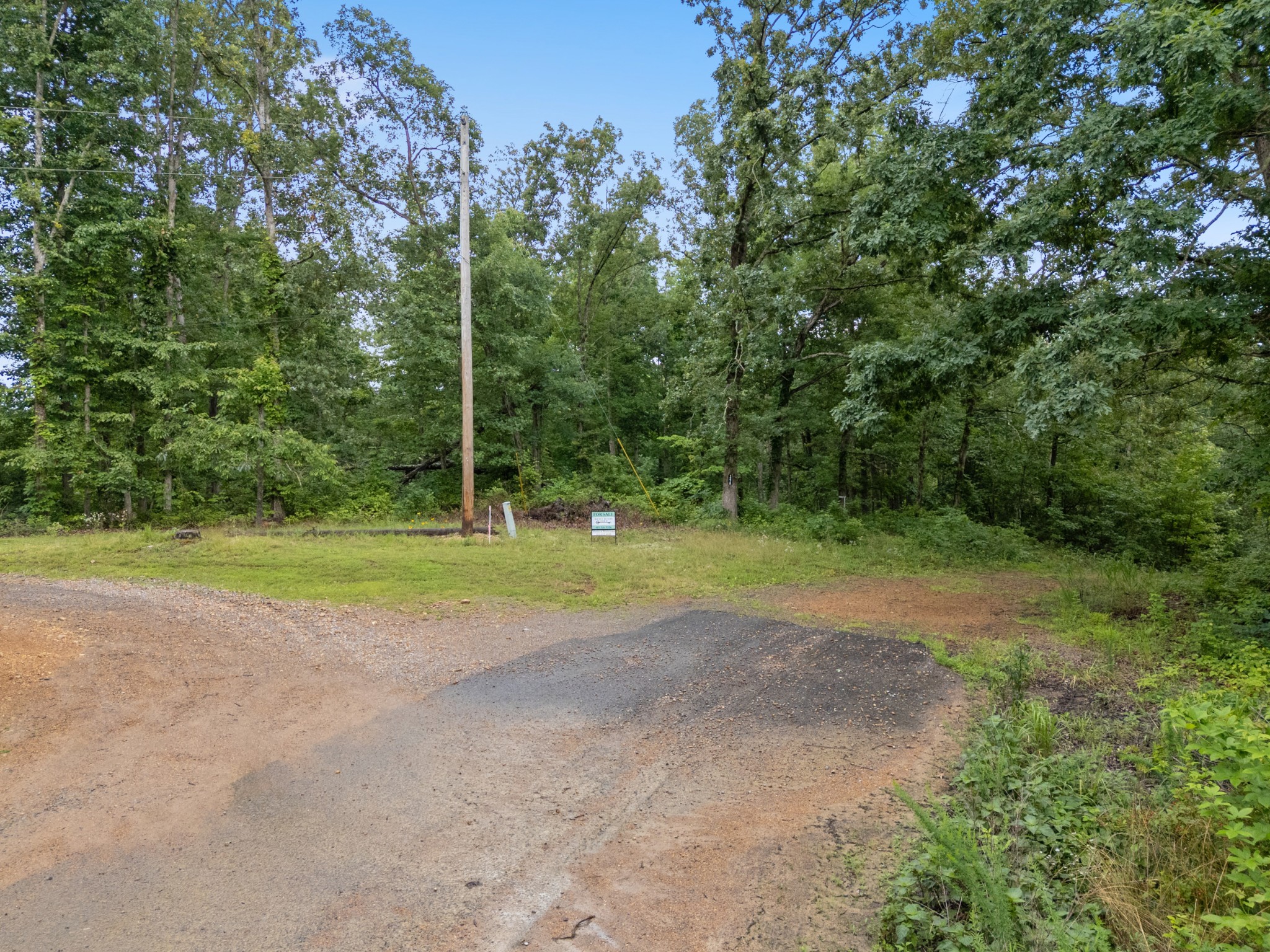 1270 North Buchanan Road Waverly, TN 37185 - Photo 1 of 13 a view of a house with a park