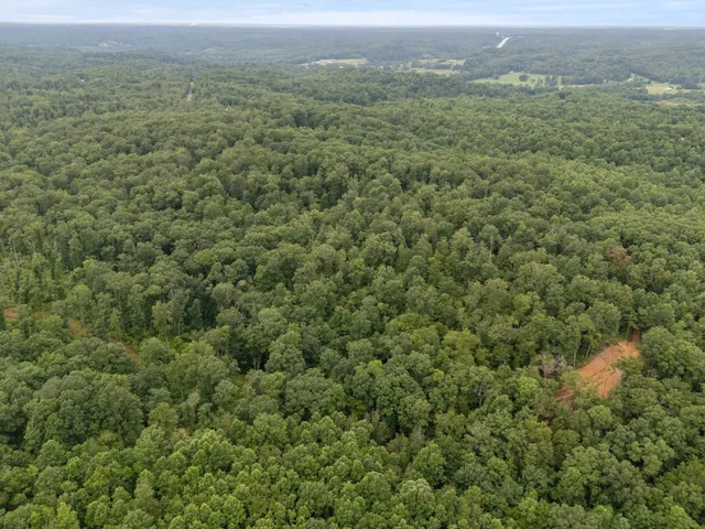 a view of a field with trees in the background