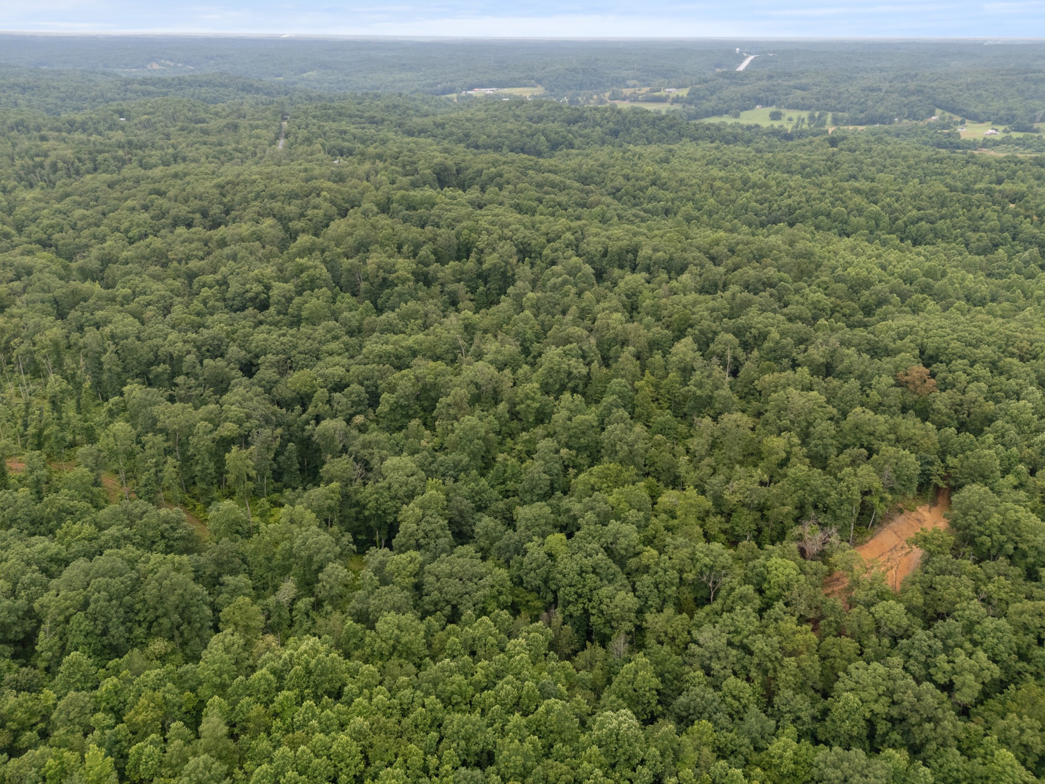 1270 North Buchanan Road Waverly, TN 37185 - Photo 11 of 13 a view of a big yard with green space