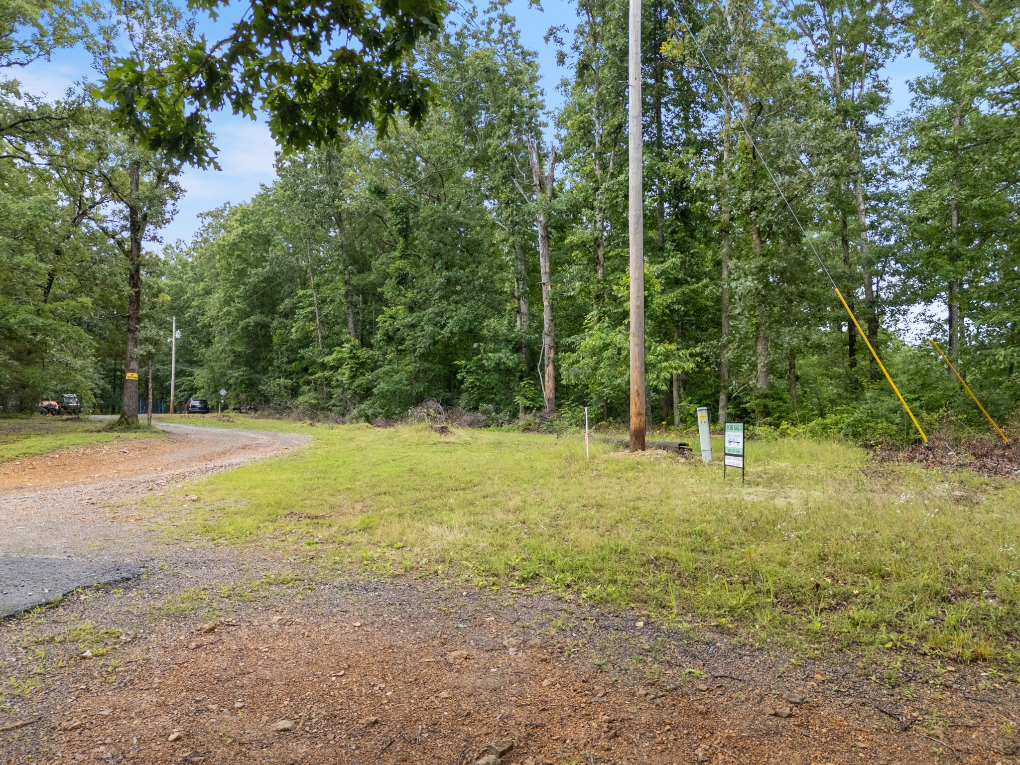 1270 North Buchanan Road Waverly, TN 37185 - Photo 12 of 13 a view of a field with trees in the background