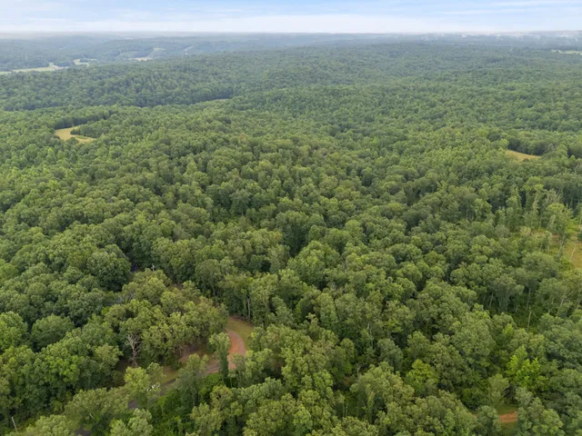 a view of a field with an ocean
