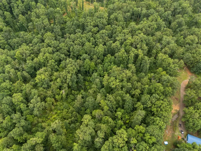 a view of a large yard with lots of green space