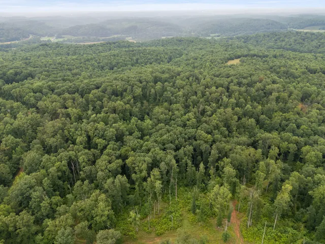 an aerial view of residential houses with outdoor space and trees