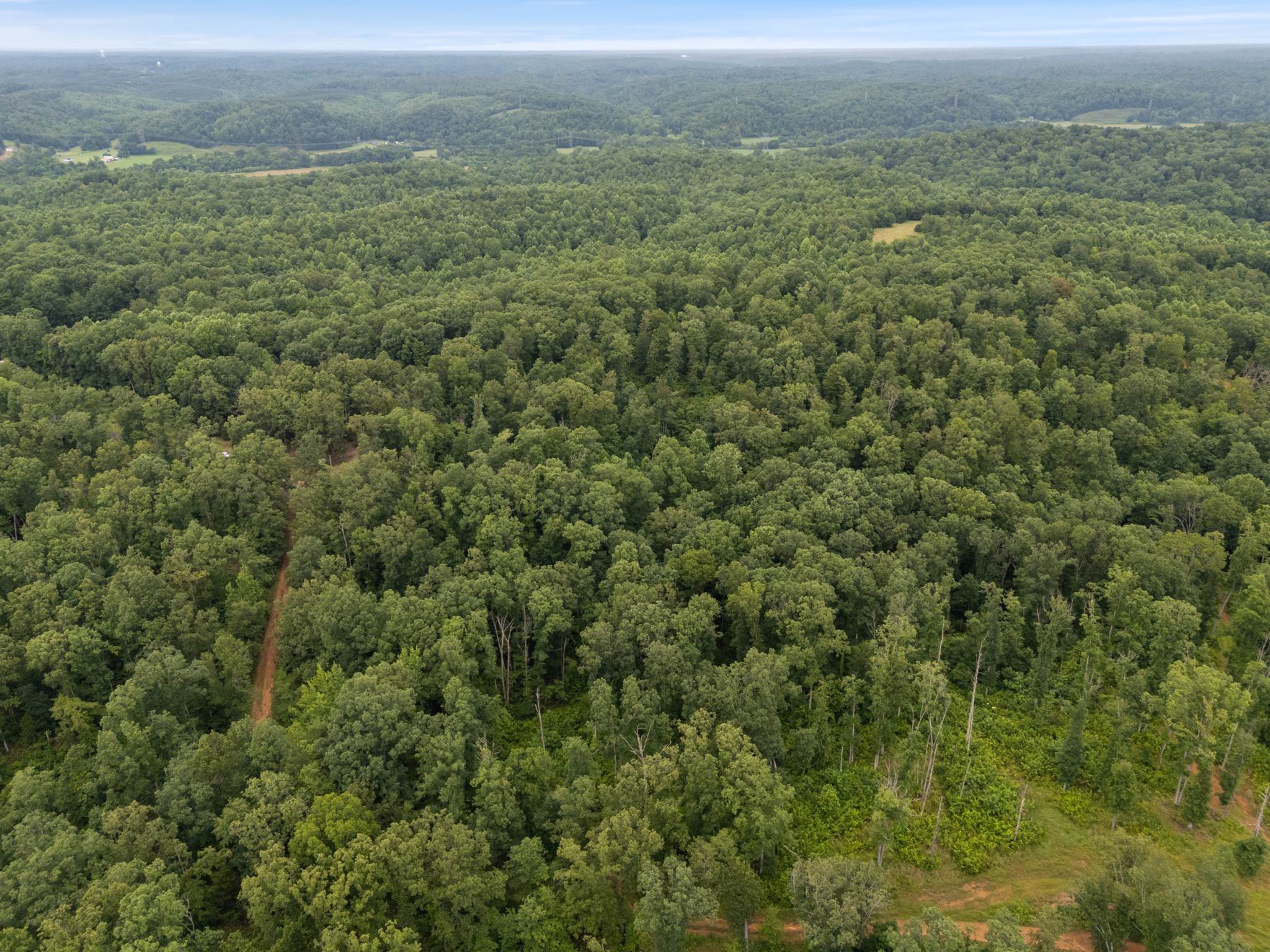 1270 North Buchanan Road Waverly, TN 37185 - Photo 6 of 13 an aerial view of residential houses with outdoor space and trees