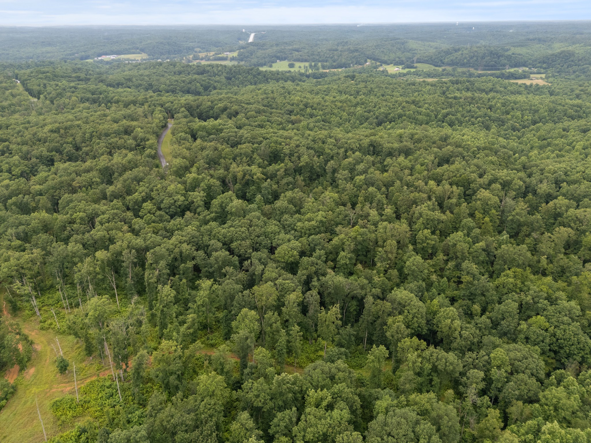 1270 North Buchanan Road Waverly, TN 37185 - Photo 7 of 13 an aerial view of residential houses with outdoor space and trees