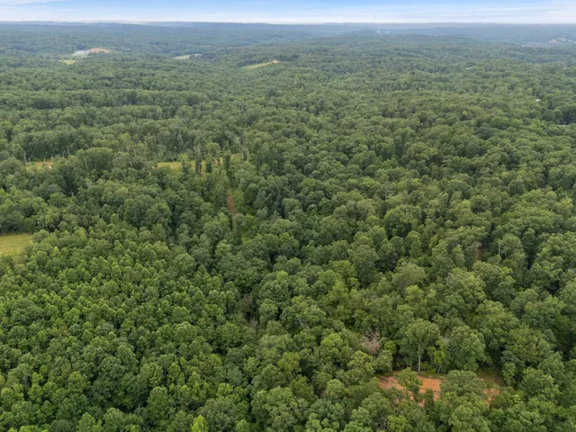 a view of a big yard with green space