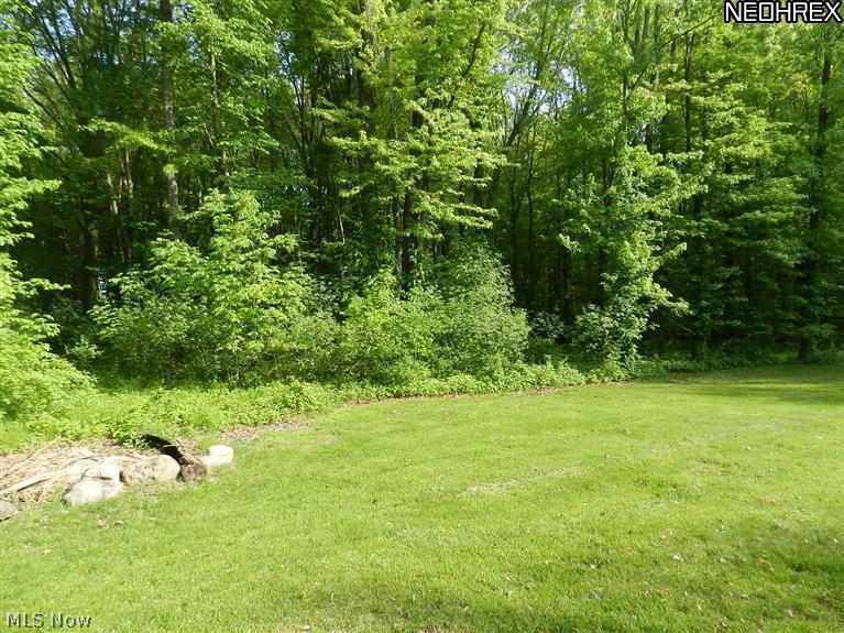 32594 Chestnut Ridge Road North Ridgeville, OH 44039 - Photo 22 of 23