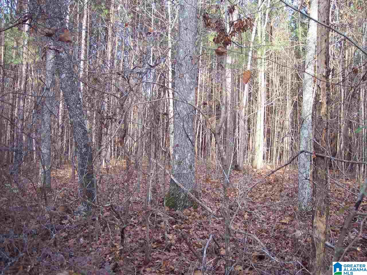 4 Dripping Rock Road, Unit 4 Piedmont, AL 36272 - Photo 11 of 12
