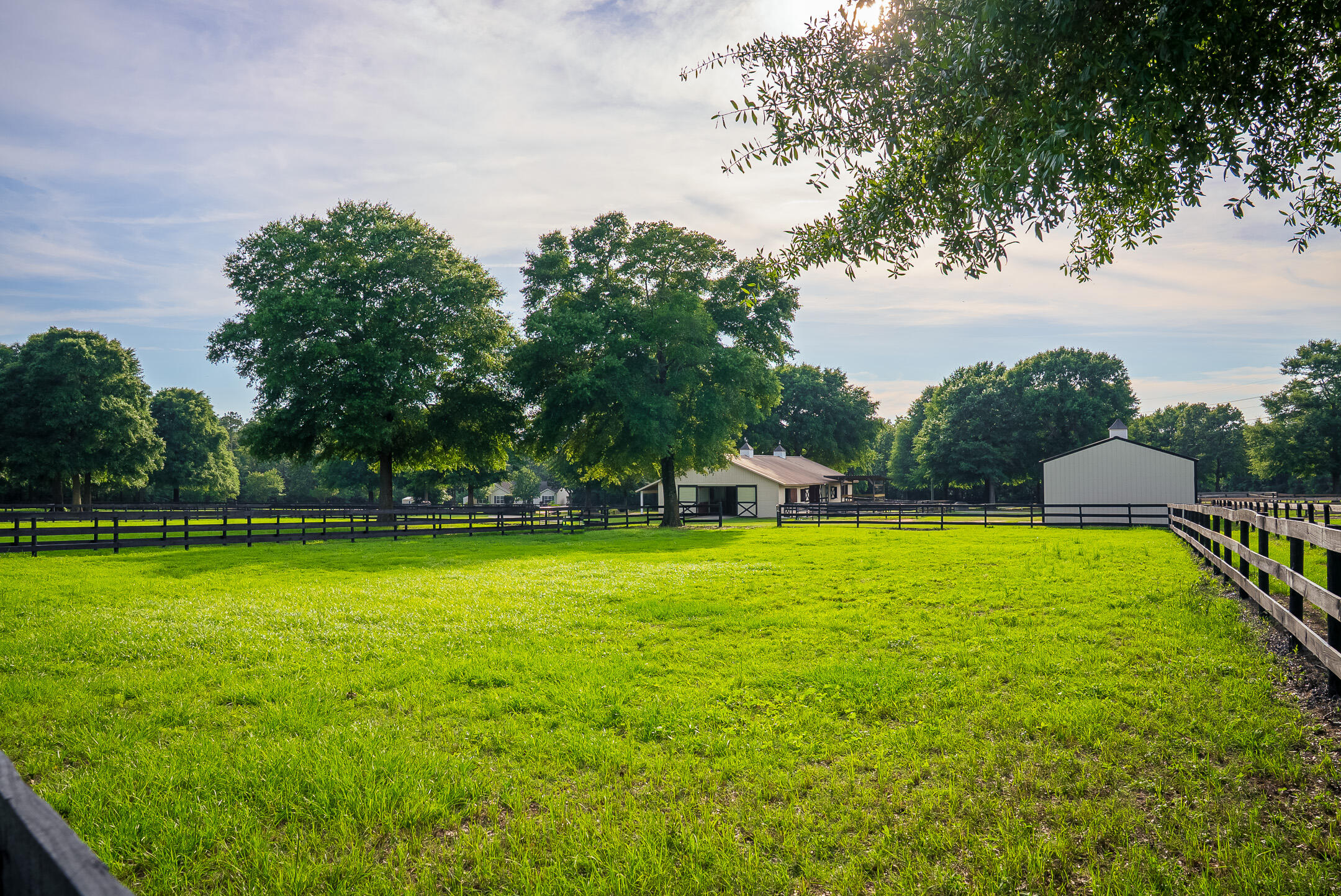 500 Burkelo Road Wagener, SC 29164 - Photo 62 of 80