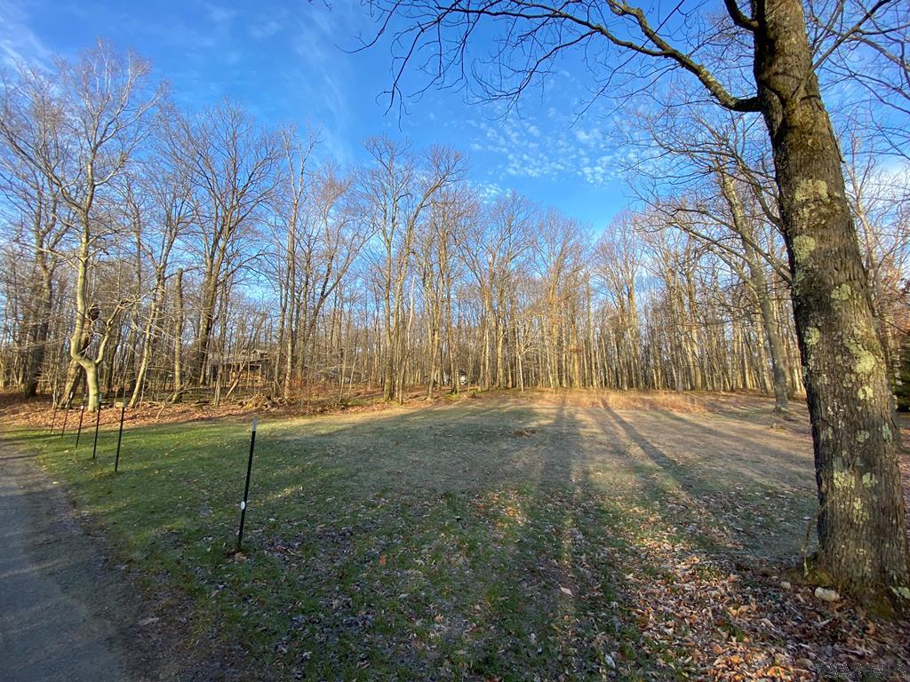 Rudder Road Ligonier, PA 15658 - Photo 1 of 12
