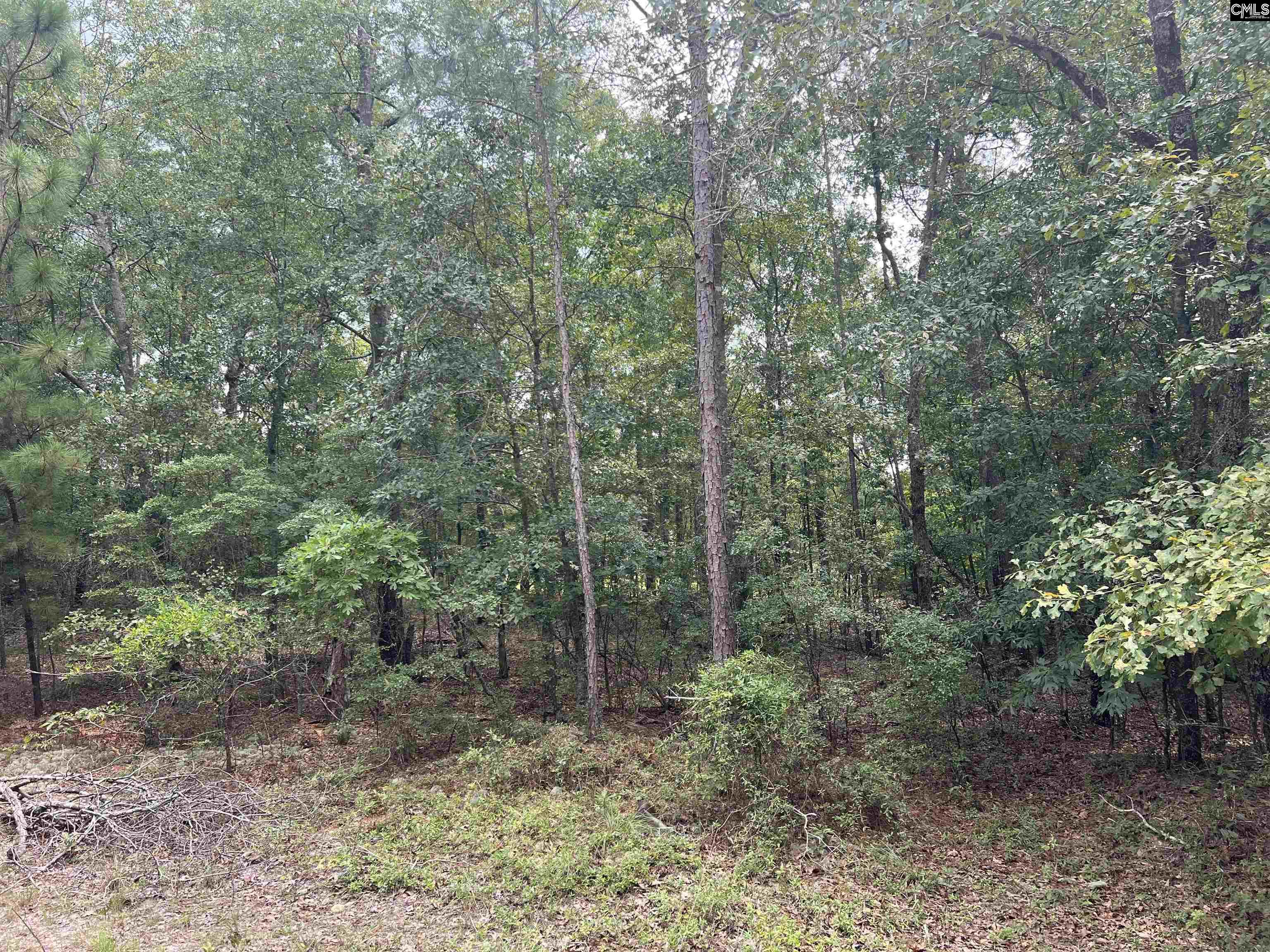 0 Cliff Road Pelion, SC 29123 - Photo 16 of 28