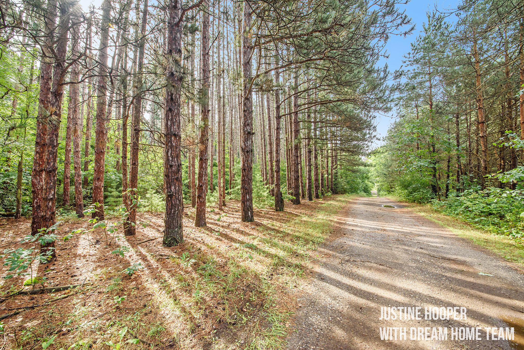 7794 Bowens Mill Road Middleville, MI 49333 - Photo 42 of 58 _DSC4095