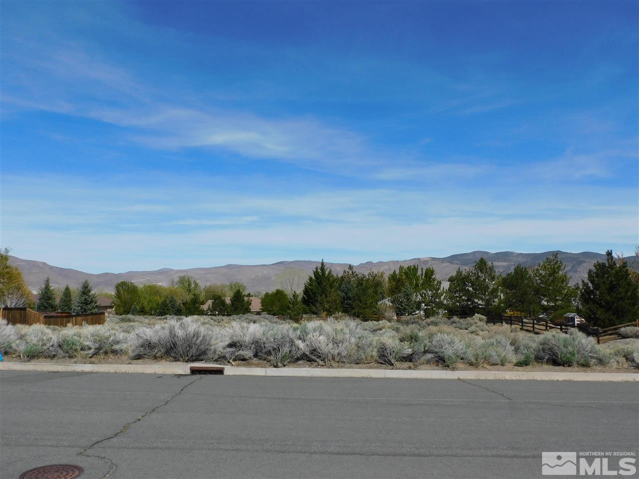 1295 Wolf Run Road Reno, NV 89511 - Photo 2 of 7 an aerial view of a city