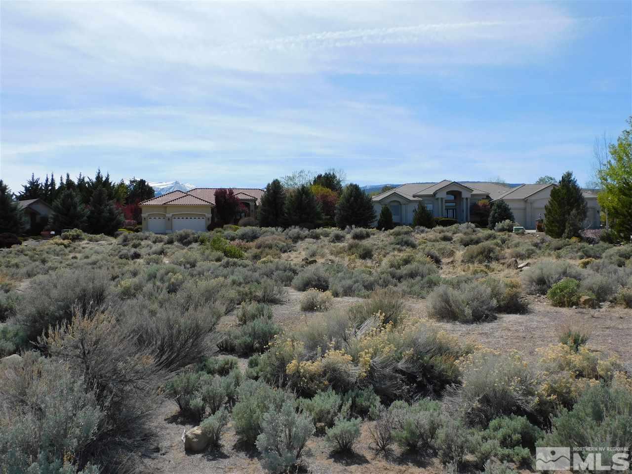 1295 Wolf Run Road Reno, NV 89511 - Photo 5 of 7 a view of a dry field