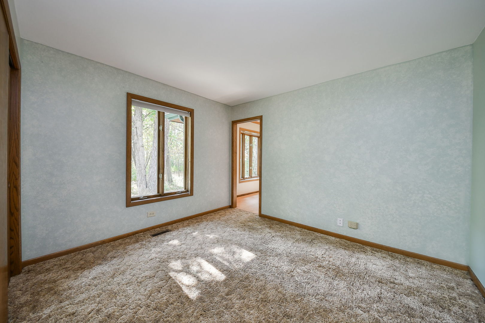 6N347 Old Homestead Road St. Charles, IL 60175 - Photo 16 of 25 a view of an empty room with a window