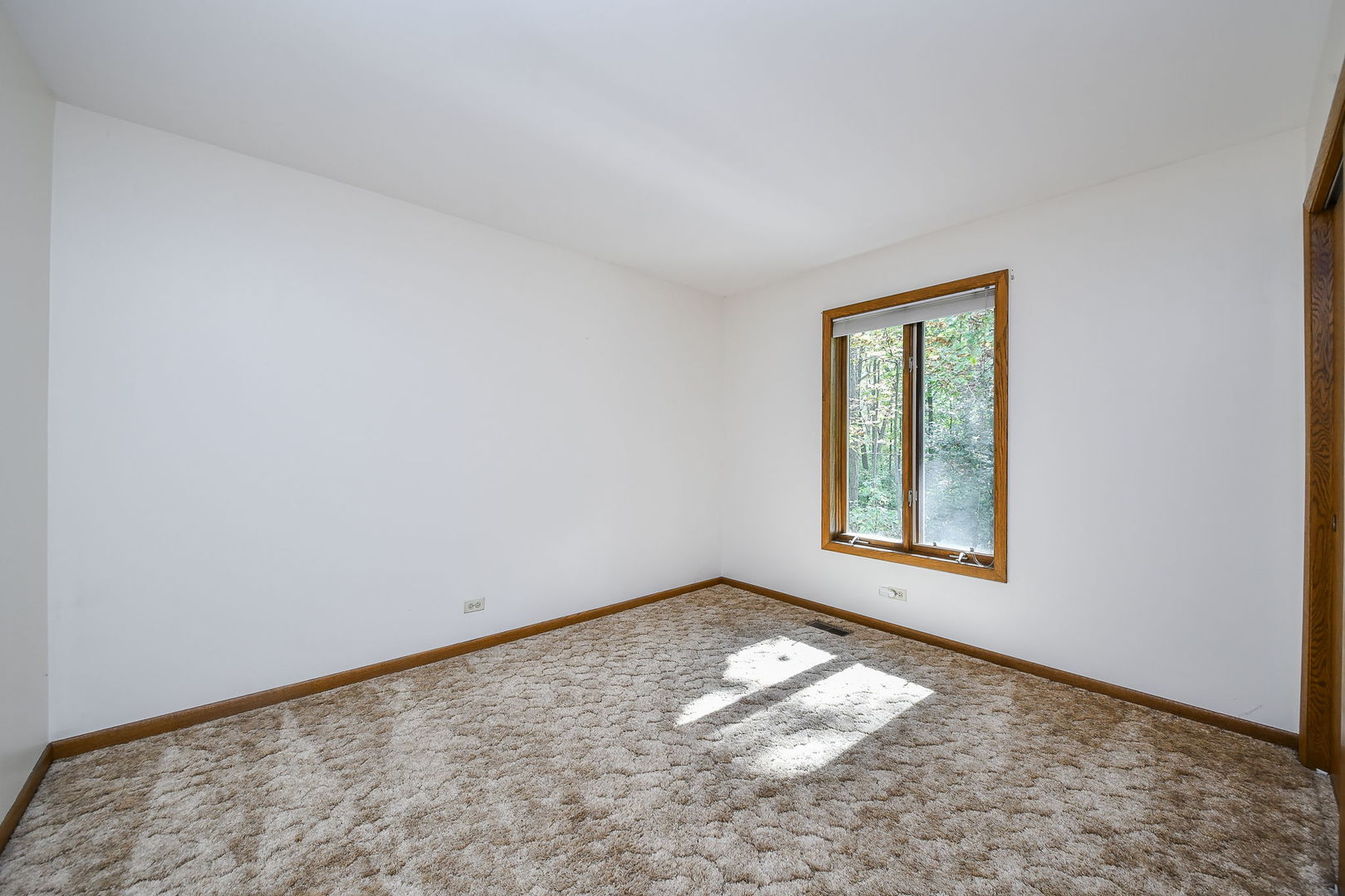 6N347 Old Homestead Road St. Charles, IL 60175 - Photo 17 of 25 an empty room with a window