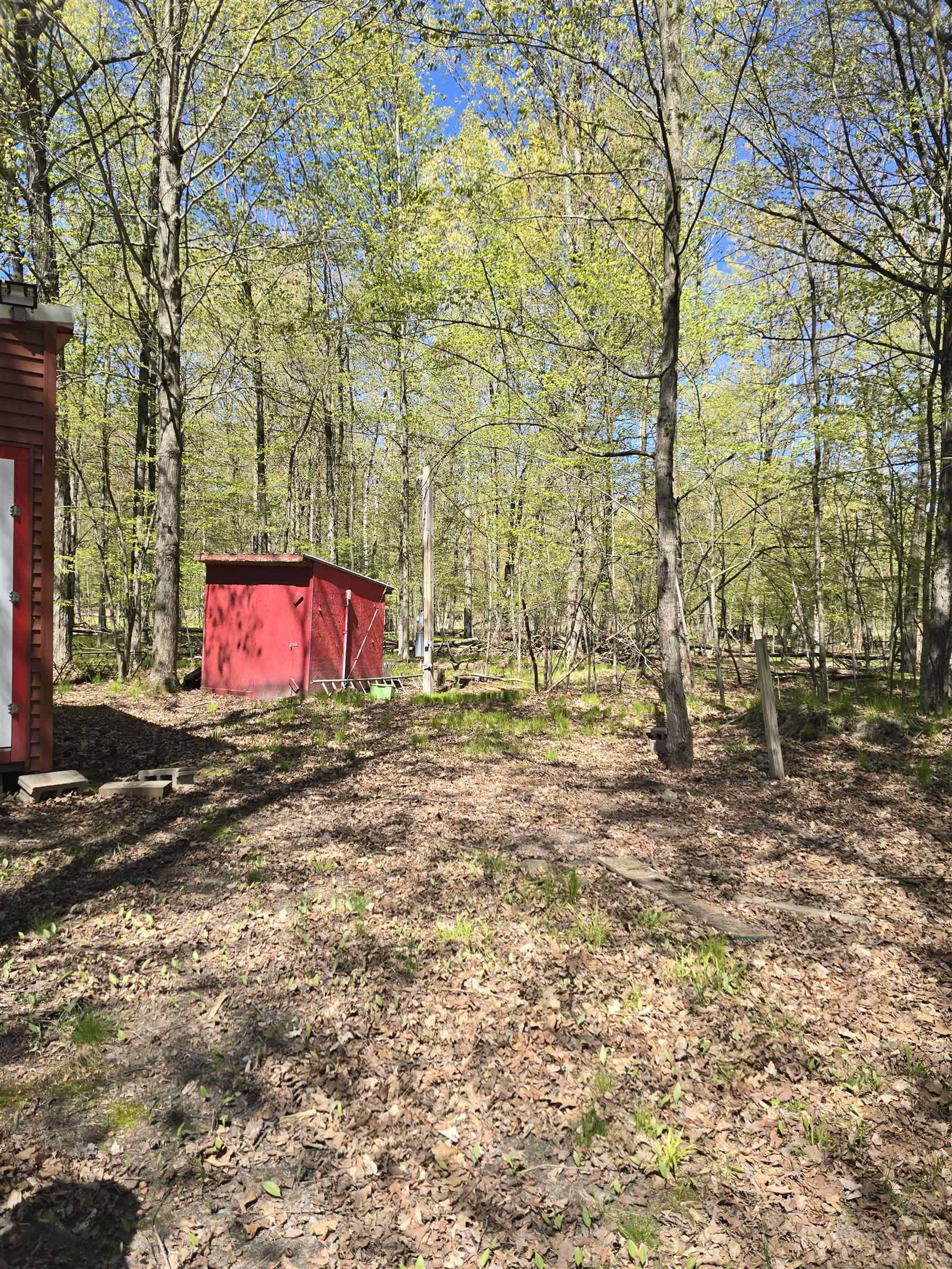 10096 Grindstone Road Evart, MI 49631 - Photo 9 of 17