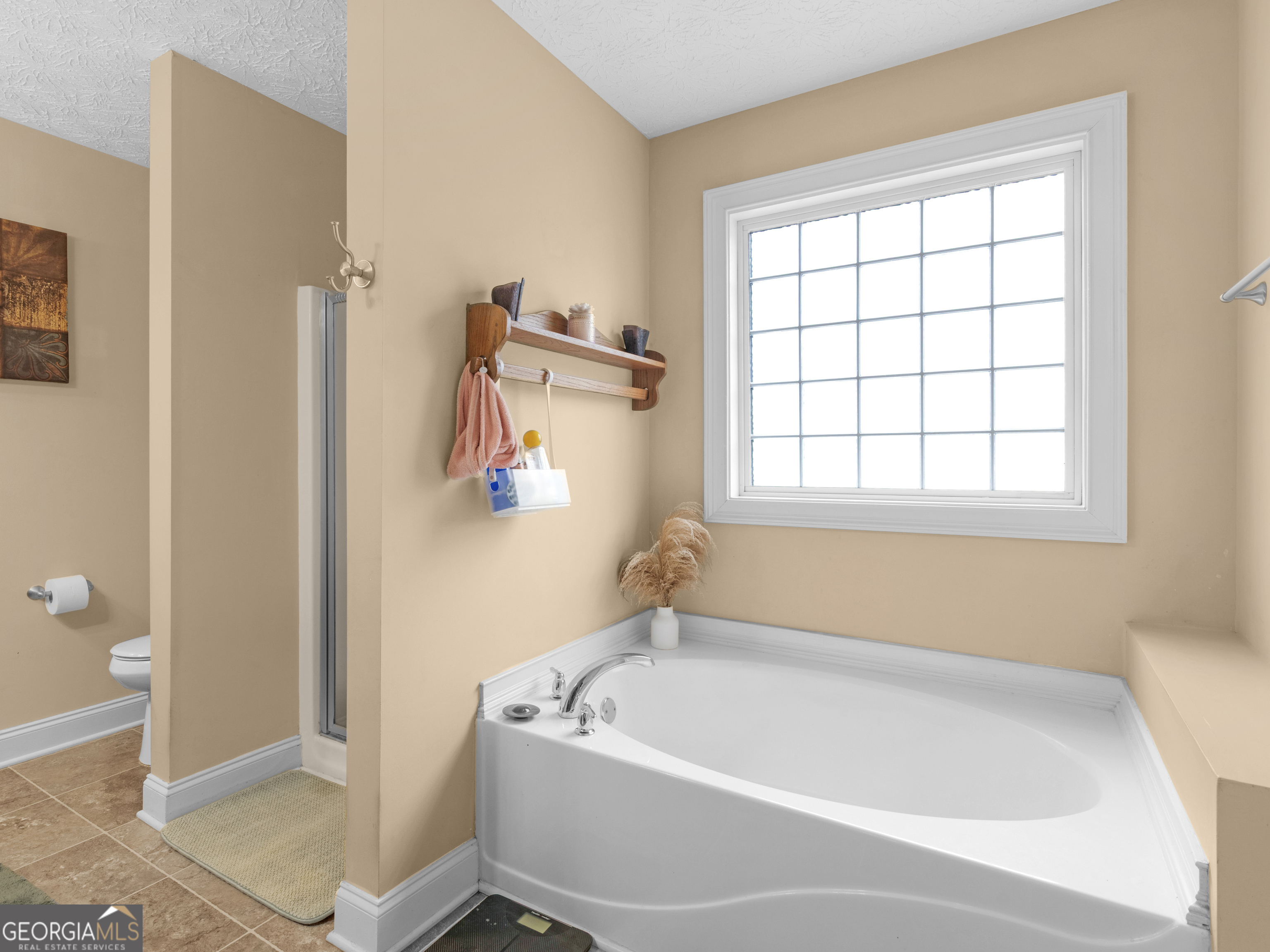 170 Aaron Court Forsyth, GA 31029 - Photo 35 of 57