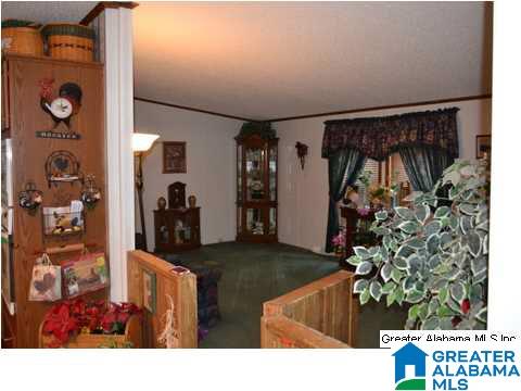401 Old Settlement Road Oneonta, AL 35121 - Photo 5 of 28