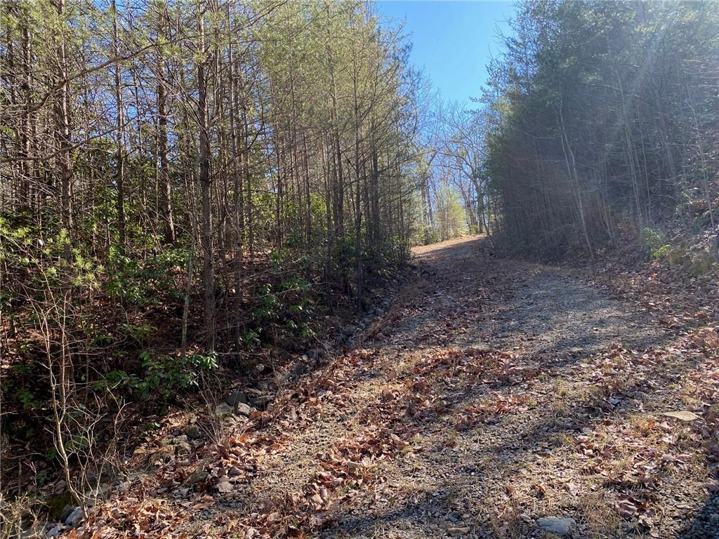 107 Sharp Mountain Parkway Jasper, GA 30143 - Photo 5 of 15