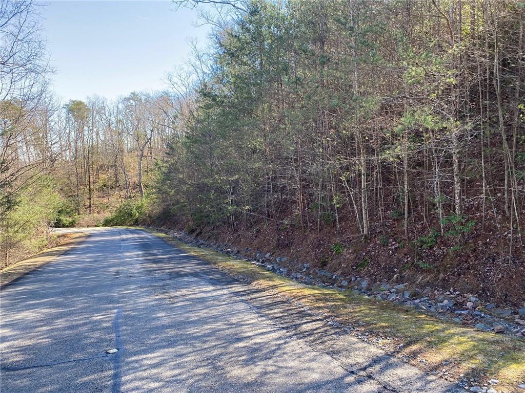 107 Sharp Mountain Parkway Jasper, GA 30143 - Photo 6 of 15