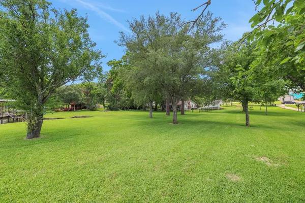 a huge green field with lots of trees