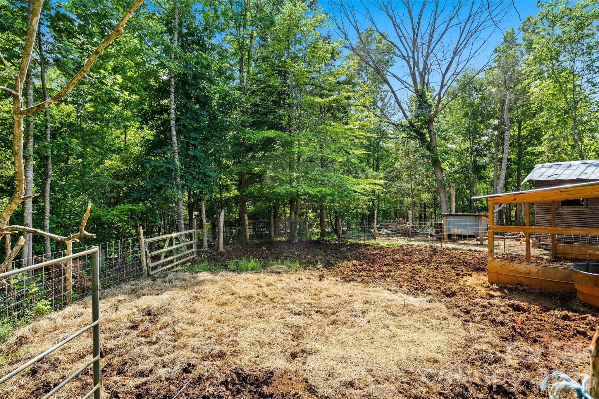 233 Orindawood Road McConnells, SC 29726 - Photo 25 of 34