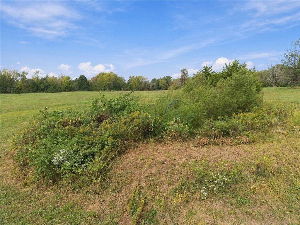 Tbd Tbd County Road Holden, MO 64040 - Photo 15 of 33 Gallery Image 15