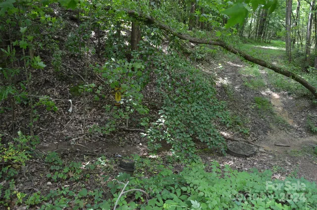 a view of a house with a lush green forest