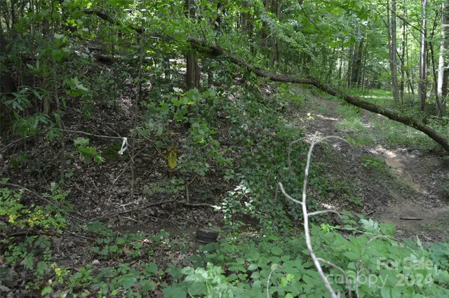 a small pool with a small yard and palm trees