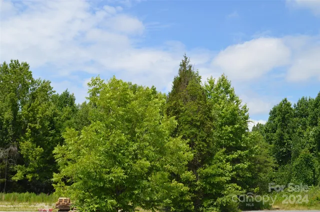 a view of a yard with an trees