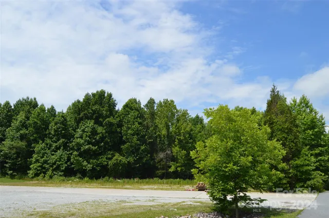 view of a yard with plants and large trees