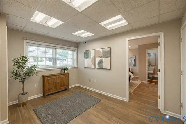 a room with furniture and a potted plant