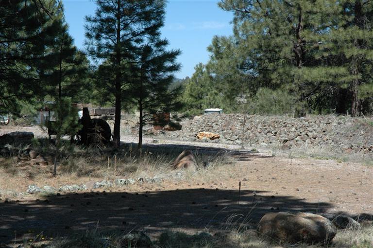 203 North Boehm Road Williams, AZ 86046 - Photo 7 of 11 Additional Photo