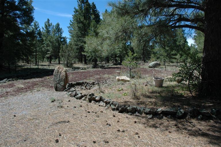 203 North Boehm Road Williams, AZ 86046 - Photo 8 of 11 Additional Photo